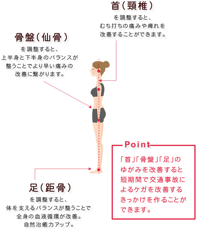 首（頸椎）を調整すると、むち打ちの痛みや痺れを 改善することができます。 骨盤（仙骨）を調整すると、上半身と下半身のバランスが整うことでより早い痛みの改善に繋がります。足（距骨）を調整すると、体を支えるバランスが整うことで全身の血液循環が改善。 自然治癒力アップ。 Point 「首」「骨盤」「足」のゆがみを改善すると短期間で交通事故によるケガを改善するきっかけと作ることができます。